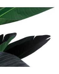 Pianta Decorativa Polietilene Ferro Cemento Uccello del Paradiso 245 cm 120 x 120 x 245 cm Pianta Decorativa Polietilene Ferro Cemento Uccello del Paradiso 245 cm 120 x 120 x 245 cm