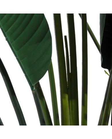Pianta Decorativa Polietilene Ferro Cemento Uccello del Paradiso 245 cm 120 x 120 x 245 cm