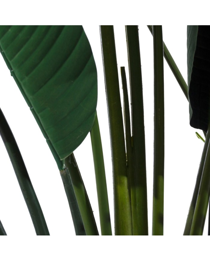 Pianta Decorativa Polietilene Ferro Cemento Uccello del Paradiso 245 cm 120 x 120 x 245 cm Pianta Decorativa Polietilene Ferro Cemento Uccello del Paradiso 245 cm 120 x 120 x 245 cm