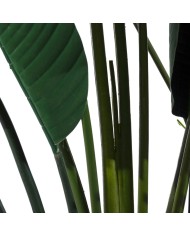 Pianta Decorativa Polietilene Ferro Cemento Uccello del Paradiso 245 cm 120 x 120 x 245 cm Pianta Decorativa Polietilene Ferro Cemento Uccello del Paradiso 245 cm 120 x 120 x 245 cm