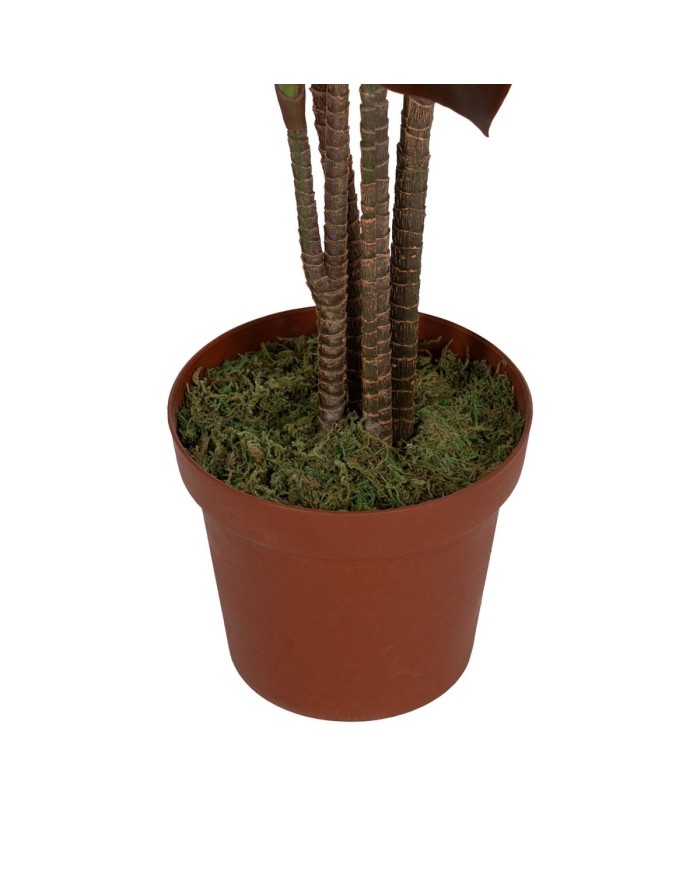 Pianta Decorativa Polietilene Ferro Cemento 45 x 45 x 170 cm Pianta Decorativa Polietilene Ferro Cemento 45 x 45 x 170 cm