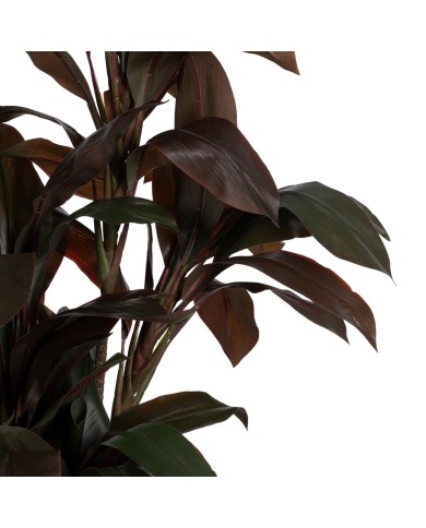 Pianta Decorativa Polietilene Ferro Cemento 45 x 45 x 170 cm