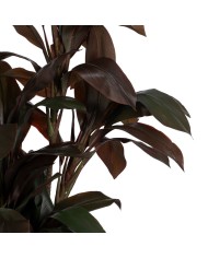 Pianta Decorativa Polietilene Ferro Cemento 45 x 45 x 170 cm Pianta Decorativa Polietilene Ferro Cemento 45 x 45 x 170 cm