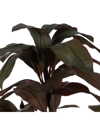 Pianta Decorativa Polietilene Ferro Cemento 45 x 45 x 170 cm