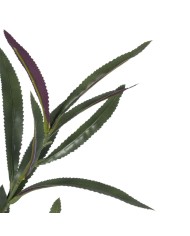 Pianta Decorativa PEVA 30 X 25 X 72 CM