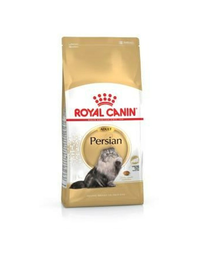 Cibo per gatti Royal Canin Persian Adulto Mais Uccelli 4 Kg Cibo per gatti Royal Canin Persian Adulto Mais Uccelli 4 Kg