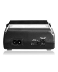 Caricabatterie EverActive UC-4000 Caricabatterie EverActive UC-4000