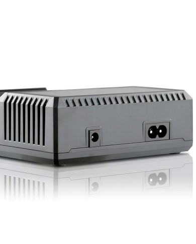 Caricabatterie EverActive UC-4200 Caricabatterie EverActive UC-4200