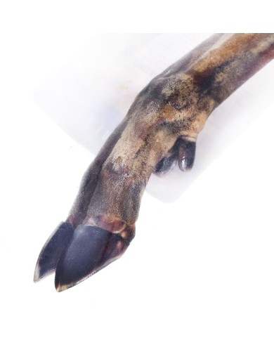 Snack per Cani Petmex Cervo 100 g Snack per Cani Petmex Cervo 100 g