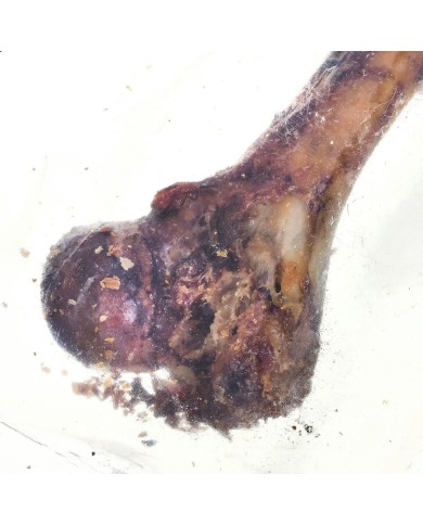 Snack per Cani Petmex Ham bone Maiale 200 g Snack per Cani Petmex Ham bone Maiale 200 g