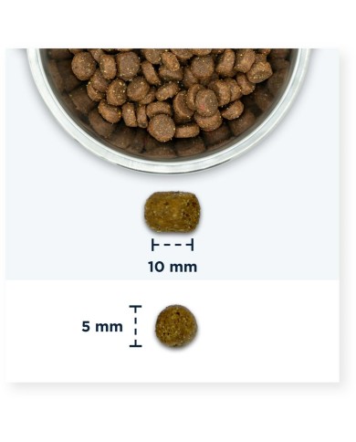 Cibo per gatti Eukanuba Adult Chicken Pollo 2 Kg Cibo per gatti Eukanuba Adult Chicken Pollo 2 Kg