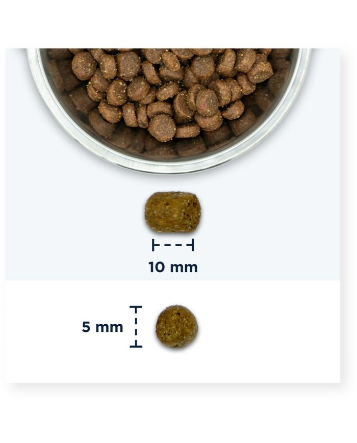 Cibo per gatti Eukanuba Adult Chicken Pollo 2 Kg