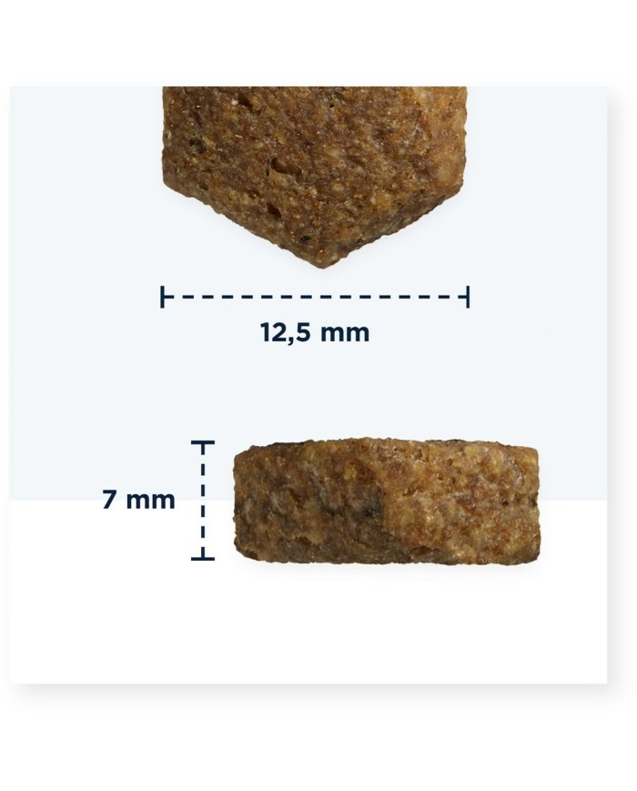 mangime Eukanuba Puppy large breed grain free ocean fish Pesce 3 Kg