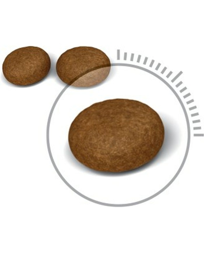 Cibo per gatti Royal Canin Hair&Skin Care Pollo 400 g