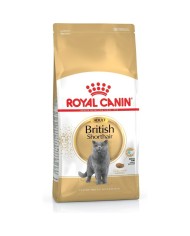 Cibo per gatti Royal Canin Maine coon Pollo Riso Uccelli 400 g Cibo per gatti Royal Canin Maine coon Pollo Riso Uccelli 400 g