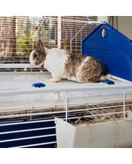 Gabbia Ferplast Nature Metallo Plastica 119 x 77 x 58 cm Gabbia Ferplast Nature Metallo Plastica 119 x 77 x 58 cm