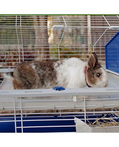 Gabbia Ferplast Nature Metallo Plastica 119 x 77 x 58 cm