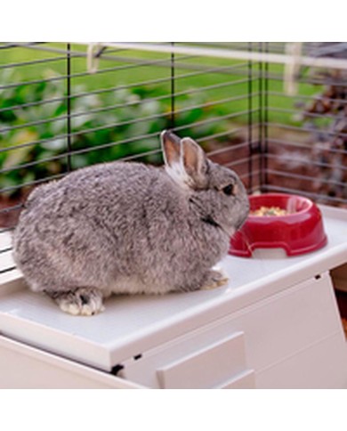 Gabbia Ferplast Krolik 140 Plus Metallo Plastica 142 x 50 x 60 cm