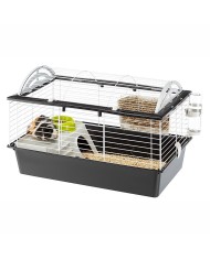 Gabbia Ferplast 57065070 Metallo Plastica Metallo/Plastica 70 x 70 x 48 cm