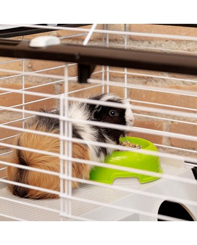 Gabbia Ferplast 57065070 Metallo Plastica Metallo/Plastica 70 x 70 x 48 cm