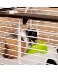 Gabbia Ferplast 57065070 Metallo Plastica Metallo/Plastica 70 x 70 x 48 cm