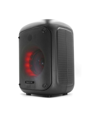 Altoparlante Bluetooth Portatile SQUEAK SQ1005 Nero 40 W Altoparlante Bluetooth Portatile SQUEAK SQ1005 Nero 40 W