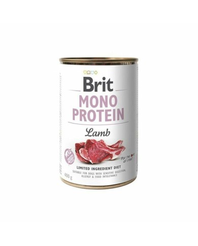 Cibo umido Brit Monoprotein