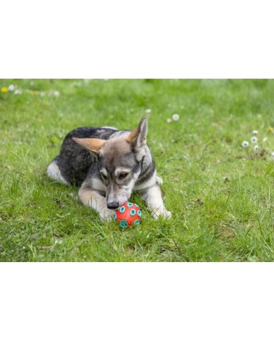 Giocattolo da mordere per cani Kerbl Rosso Verde Caucciù Giocattolo da mordere per cani Kerbl Rosso Verde Caucciù