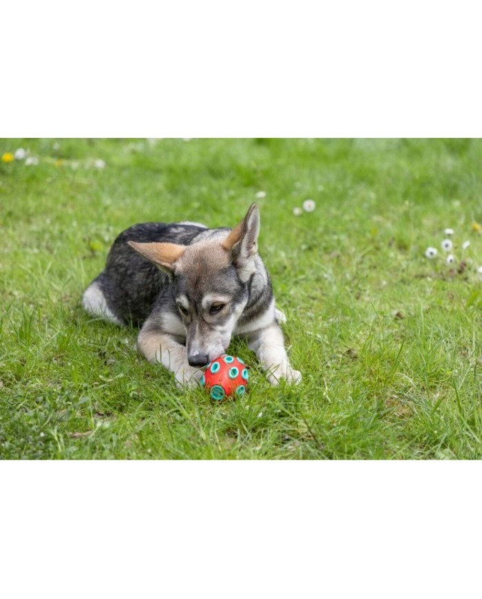Giocattolo da mordere per cani Kerbl Rosso Verde Caucciù Giocattolo da mordere per cani Kerbl Rosso Verde Caucciù