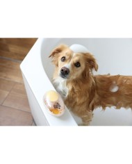 Kit di pronto soccorso Kerbl