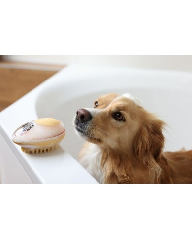 Kit di pronto soccorso Kerbl Kit di pronto soccorso Kerbl