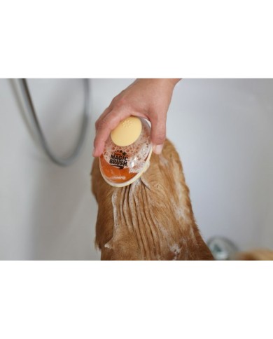 Kit di pronto soccorso Kerbl Kit di pronto soccorso Kerbl