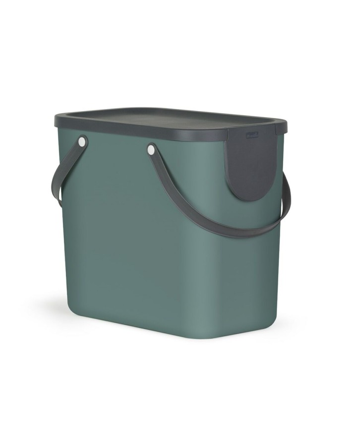 Secchio contenitore Rotho Verde Plastica