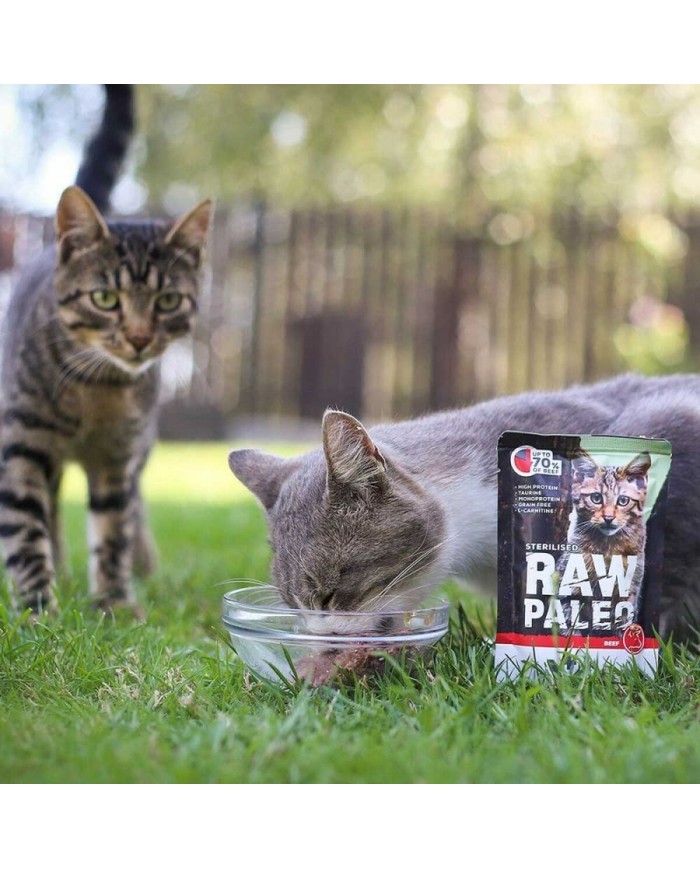 Cibo per gatti VETEXPERT Adult Cat Carne di manzo e vitello 100 g