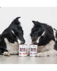 Cibo umido VETEXPERT Adult Monoprotein Carne di manzo e vitello 800 g Cibo umido VETEXPERT Adult Monoprotein Carne di manzo e vitello 800 g