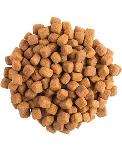 Cibo per gatti Purina Pro Plan Uccelli 1,5 Kg Cibo per gatti Purina Pro Plan Uccelli 1,5 Kg