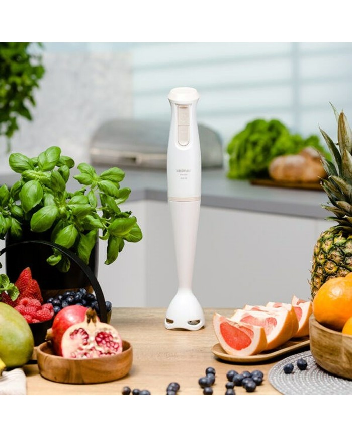 Frullatore ad Immersione Zelmer ZHB4560I Bianco 800 W Frullatore ad Immersione Zelmer ZHB4560I Bianco 800 W