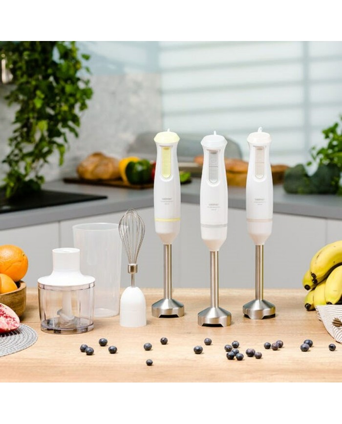 Frullatore ad Immersione Zelmer ZHB4562I Bianco 800 W Frullatore ad Immersione Zelmer ZHB4562I Bianco 800 W