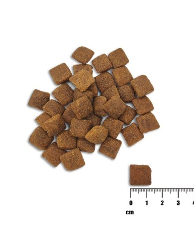 mangime VETEXPERT Raw Paleo Healthy Grain Adult Salmone 10 kg