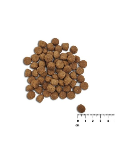 mangime VETEXPERT                 Salmone 10 kg