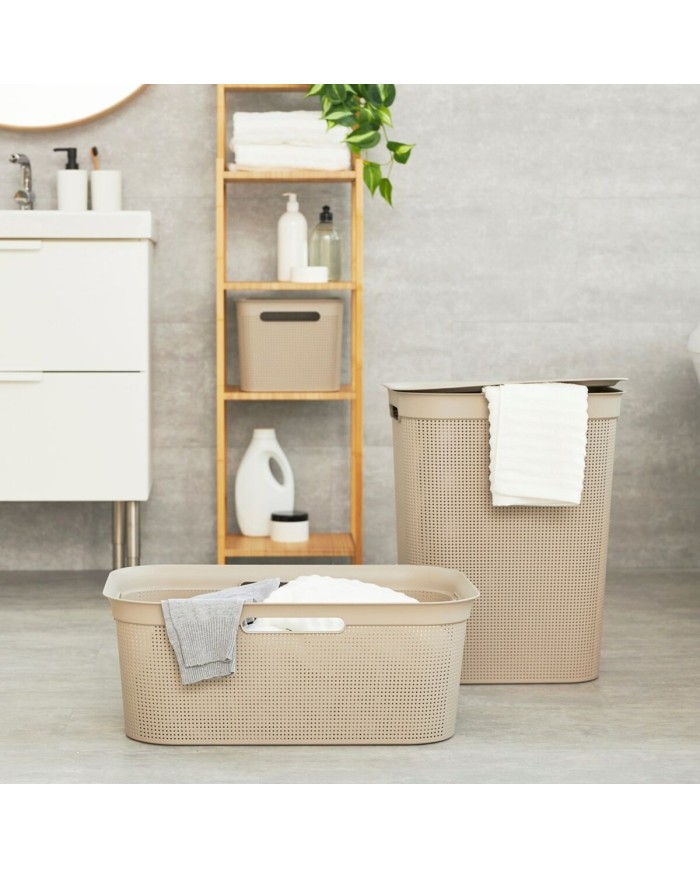 Ciotola per gatti Rotho 1023507422 Plastica