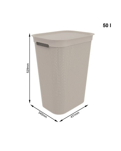 Ciotola per gatti Rotho 1023507422 Plastica