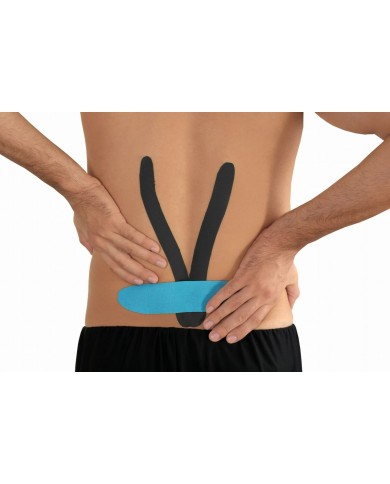 Schienale per Sedile MDH DRQR5C4CHX5XP Schienale per Sedile MDH DRQR5C4CHX5XP