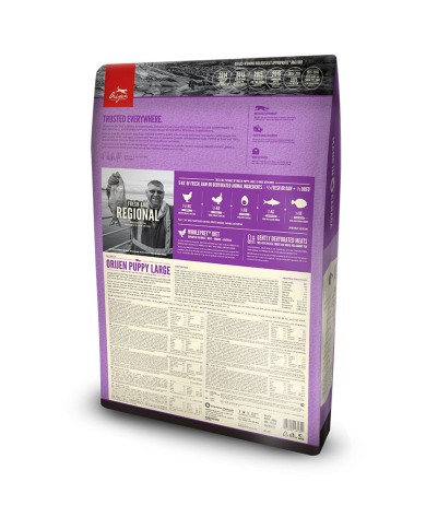mangime Orijen Puppy Large Cucciolo/Junior Pollo Tacchino Pesce 6 Kg