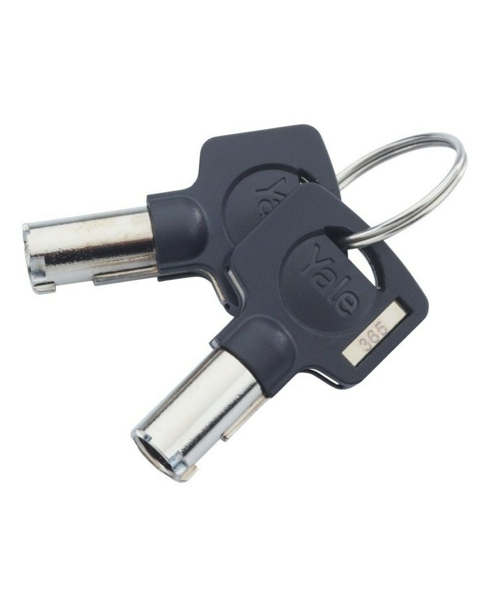 Cassetta di sicurezza a forma di Libro Yale YFWC/155/KB1