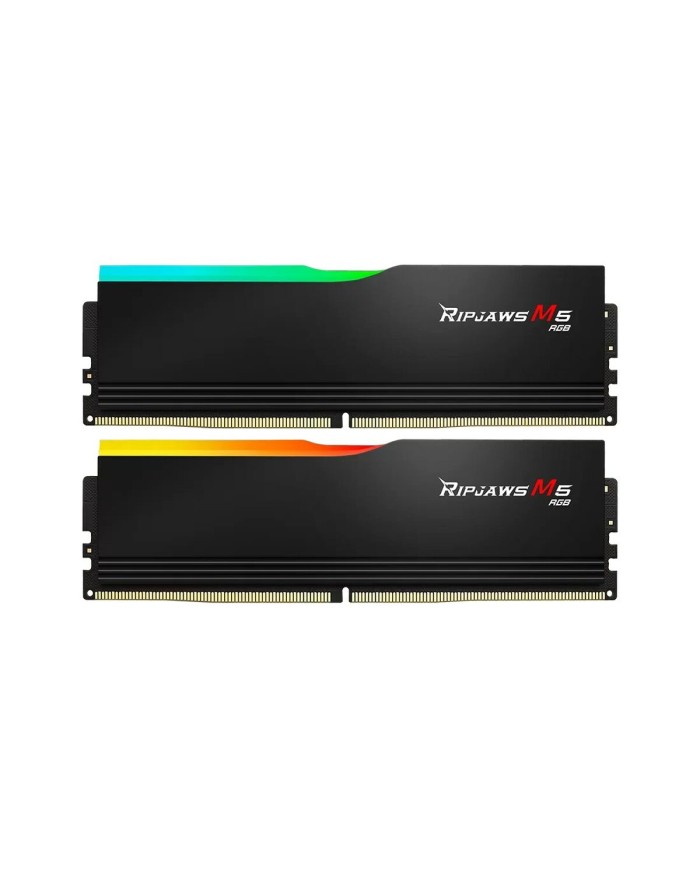Memoria RAM GSKILL F5-5200J4040A48GX2-RM5RK 96 GB DDR5 CL40 Memoria RAM GSKILL F5-5200J4040A48GX2-RM5RK 96 GB DDR5 CL40