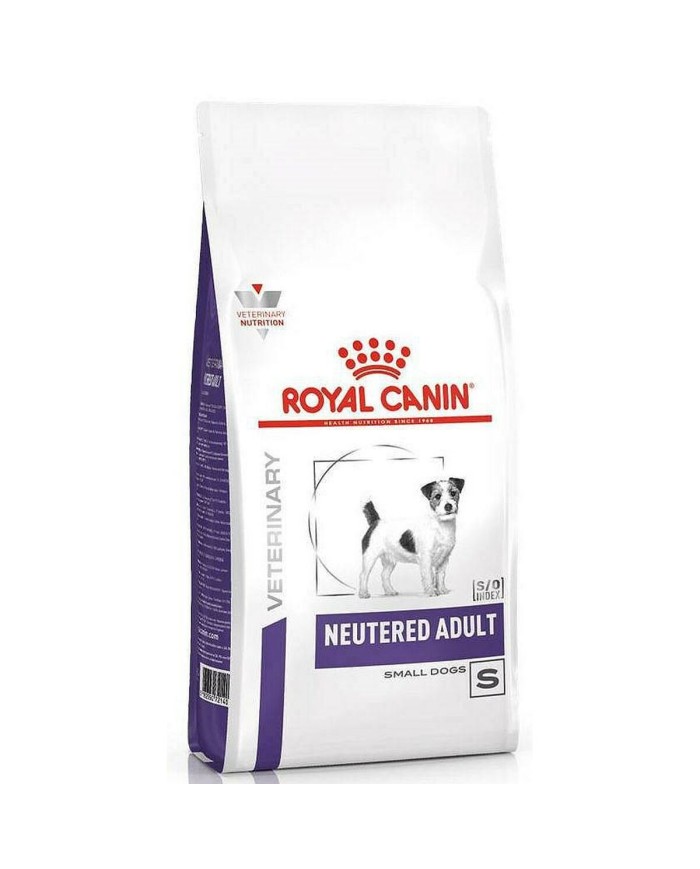mangime Royal Canin Neutered Adult Small VHN Adulto Mais Uccelli Maiale 3,5 g mangime Royal Canin Neutered Adult Small VHN Adulto Mais Uccelli Maiale 3,5 g