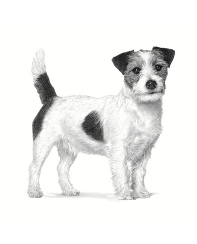 mangime Royal Canin Gastrointestinal Low Fat Small VHN Adulto Carne Uccelli 1,5 Kg mangime Royal Canin Gastrointestinal Low Fat Small VHN Adulto Carne Uccelli 1,5 Kg