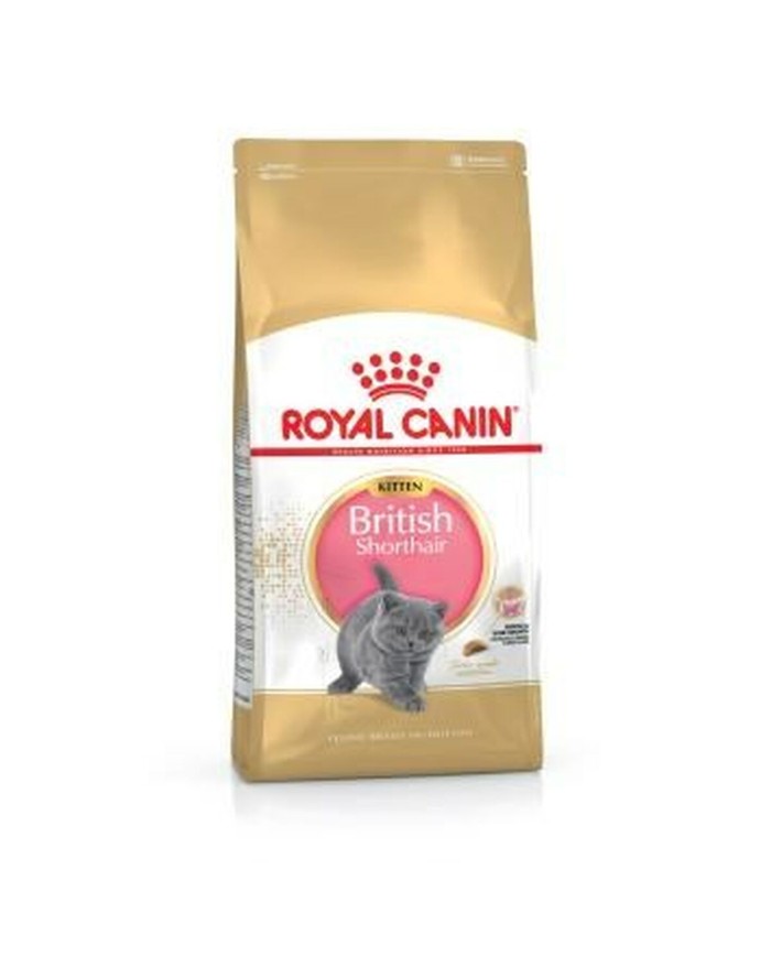 Cibo per gatti Royal Canin British Shorthair Kitten Adulto Pollo Uccelli 400 g Cibo per gatti Royal Canin British Shorthair Kitten Adulto Pollo Uccelli 400 g
