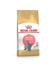 Cibo per gatti Royal Canin Kitten Sterilised Uccelli 3,5 kg Cibo per gatti Royal Canin Kitten Sterilised Uccelli 3,5 kg